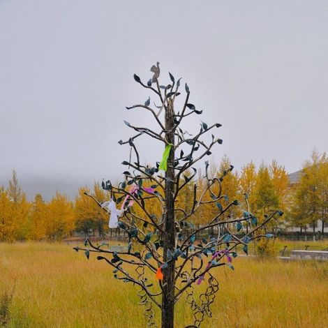 Дерево любви. Дерево любви установлено в п. Омсукчан в 2011 году. Все желающие молодожены района могут повесить на нем замок или повязать ленточку на счастье. Автор фото: И. А. Жданов.